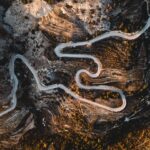 Arial view of curvy mountain road.